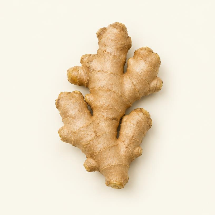 Ginger